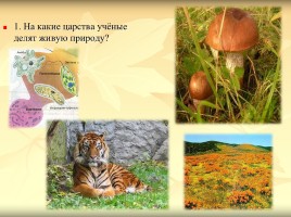 Урок биологии 5 класс «Три среды обитания»