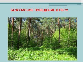 Сборник правил по безопасному поведению школьников, слайд 18