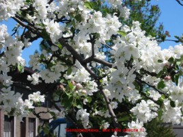 День флага Белгородской области, слайд 44