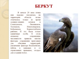 Красная книга Воронежской области, слайд 23