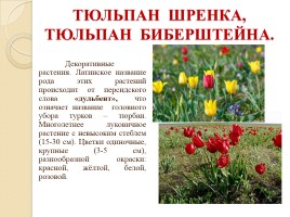Красная книга Воронежской области, слайд 9