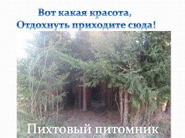 Достопримечательности села Плотникова, слайд 21
