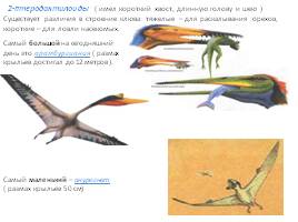 Причины вымирания динозавров, слайд 18