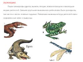 Причины вымирания динозавров, слайд 21
