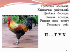 Учимся писать суффикс -ок- в именах существительных, слайд 6