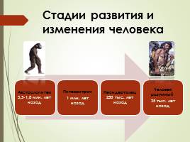 Происхождение и развитие человека, слайд 8