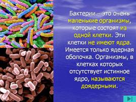Бактерии, слайд 3