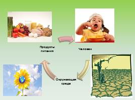 Экология питания, слайд 3