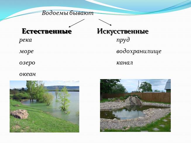 Сравнение аквариума с естественным водоемом. Естественные и искусственные водоемы. Искусственный водоем у реки.