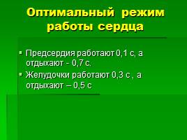 Строение и работа сердца, слайд 20