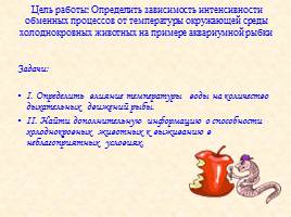 Исследовательская работа «Определение влияния температуры окружающей среды на обмен веществ у холоднокровных животных» 2 кл, слайд 3