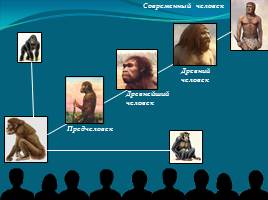 Место и роль человека в системе органического мира - Эволюция человека, слайд 10