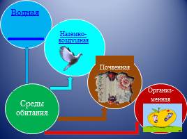 Способы передвижения организмов в разных средах обитания, слайд 2
