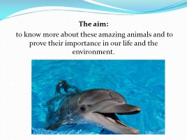 Проект «Дельфины» - Subject «Dolphins are the most mysterious animals on the planet», слайд 2