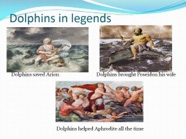 Проект «Дельфины» - Subject «Dolphins are the most mysterious animals on the planet», слайд 5