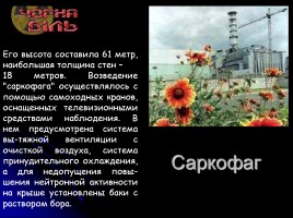 Классный час «Чернобыль», слайд 22