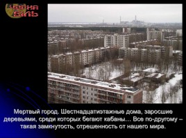 Классный час «Чернобыль», слайд 24