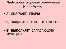 Открытый урок по теме «Строение и значение кожи - Гигиена кожи», слайд 27