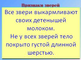 Окружающий мир 1 класс «Насекомые, птицы, рыбы, звери», слайд 20