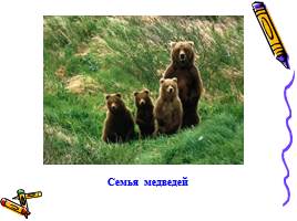 Медведь - хозяин леса, слайд 7