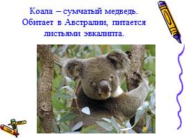 Медведь - хозяин леса, слайд 9