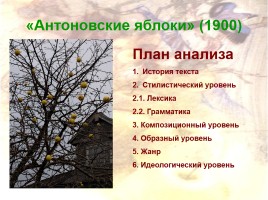 Поэтика рассказов И.А. Бунина «Антоновские яблоки», слайд 2