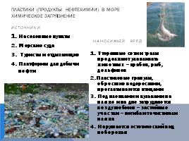 Черное море и хозяйственная деятельность человека, слайд 20