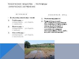 Черное море и хозяйственная деятельность человека, слайд 21
