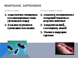 Черное море и хозяйственная деятельность человека, слайд 25