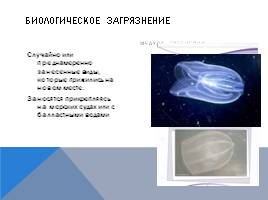 Черное море и хозяйственная деятельность человека, слайд 28