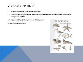 Черное море и хозяйственная деятельность человека, слайд 32