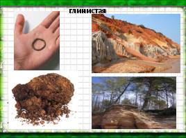 Окружающий мир «Почвы - Охрана почв», слайд 10