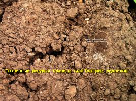 Окружающий мир «Почвы - Охрана почв», слайд 17