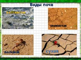 Окружающий мир «Почвы - Охрана почв», слайд 6