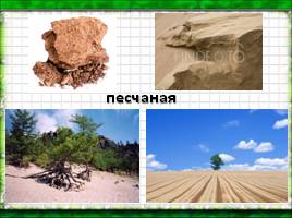 Окружающий мир «Почвы - Охрана почв», слайд 8