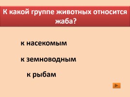 Итоговый тест по окружающему миру 2 класс к учебнику А.А. Плешакова, слайд 7