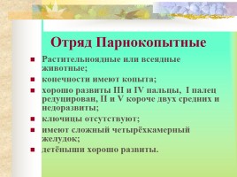 Млекопитающие Костромской области, слайд 15