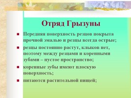 Млекопитающие Костромской области, слайд 20