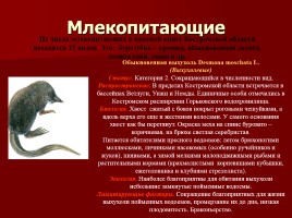 Красная книга Костромской области, слайд 11