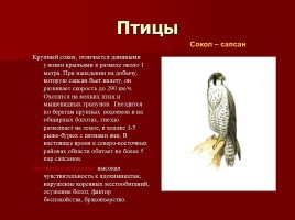 Красная книга Костромской области, слайд 15