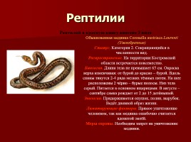 Красная книга Костромской области, слайд 17