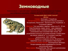 Красная книга Костромской области, слайд 18