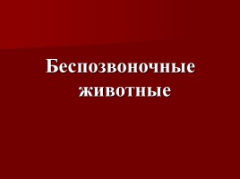 Красная книга Костромской области, слайд 21