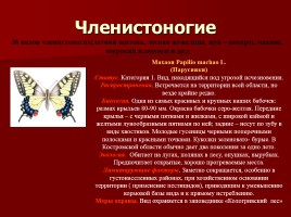 Красная книга Костромской области, слайд 23