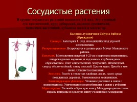 Красная книга Костромской области, слайд 6