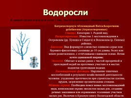Красная книга Костромской области, слайд 8