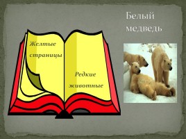 Страницы Красной книги, слайд 14