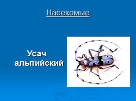 Охрана животных Крыма, слайд 15