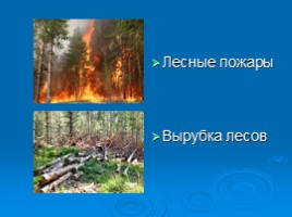 Охрана животных Крыма, слайд 3