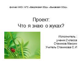Проект ученика «Что я знаю о жуках?»
